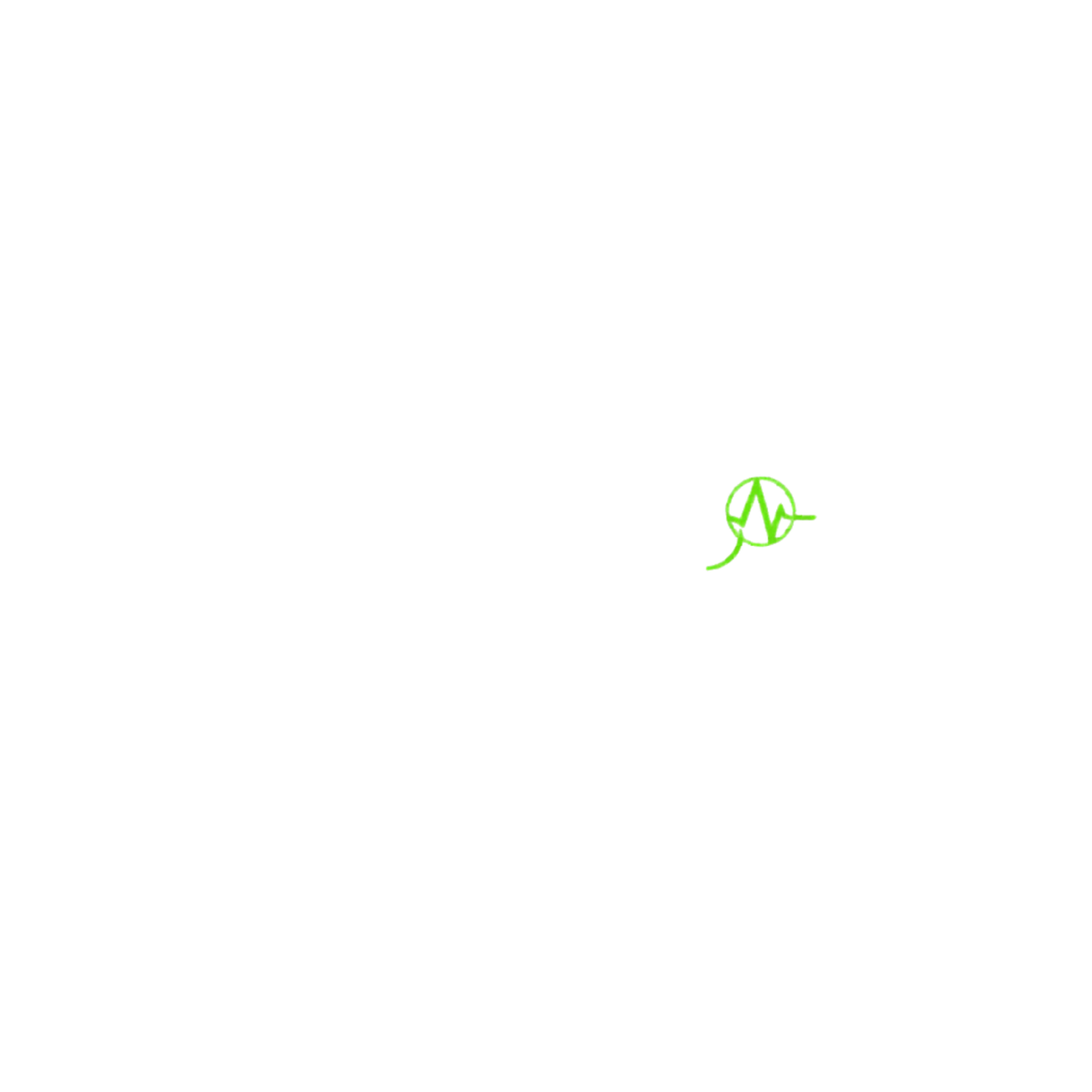Metro Pulse Agency